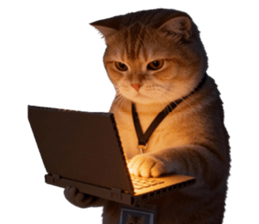 ลายที่ 27