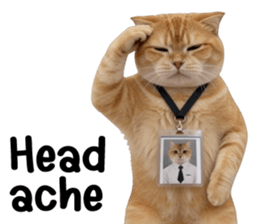 ลายที่ 45