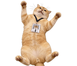 ลายที่ 61