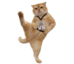 ลายที่ 73