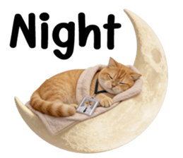 ลายที่ 79