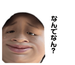 817909604