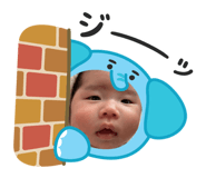 817951954