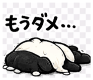 817957004