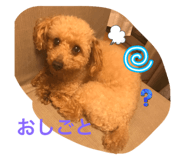 817993766
