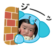 817997142