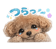 818002871