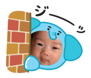 818003620