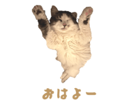 818008009