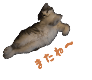818008010
