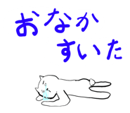 818023214