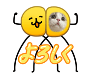 818032595