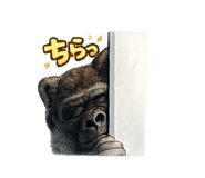 818036489