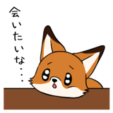 818041529