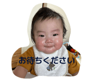 818054149