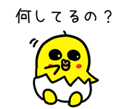 818055254