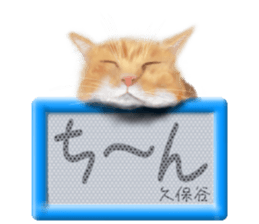 818078827