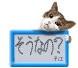 818079103