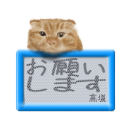 818079340