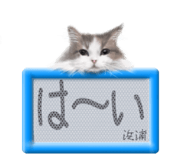 818079664