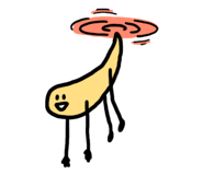 818088060