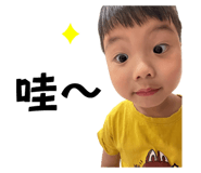 818091228