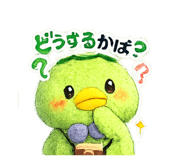 818091296