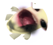 818091959