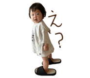 818093016