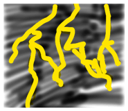 818094839