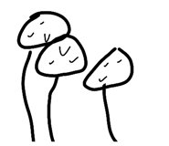 818094848