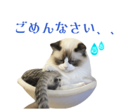 818100208