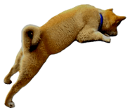 818101870