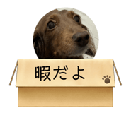 818106985