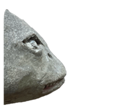 818108854