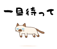 818153688