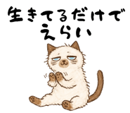 818153695