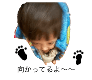 818155424