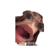 818173267
