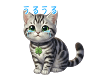 818187220