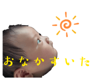 818195514