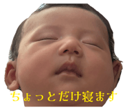 818195518