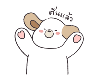 ลายที่ 3