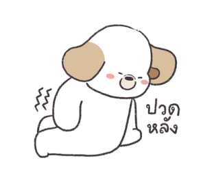 ลายที่ 19