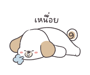 มิพซังเดลี่ไลฟ์ รูปที่ 13