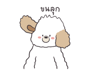 ลายที่ 55