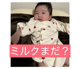 818253096