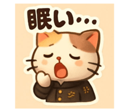 818288562