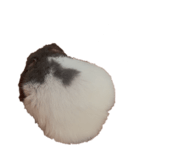 818300932
