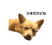 818331886